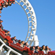Image for article titled Roller coasters are the ultimate aphrodisiac, says science
